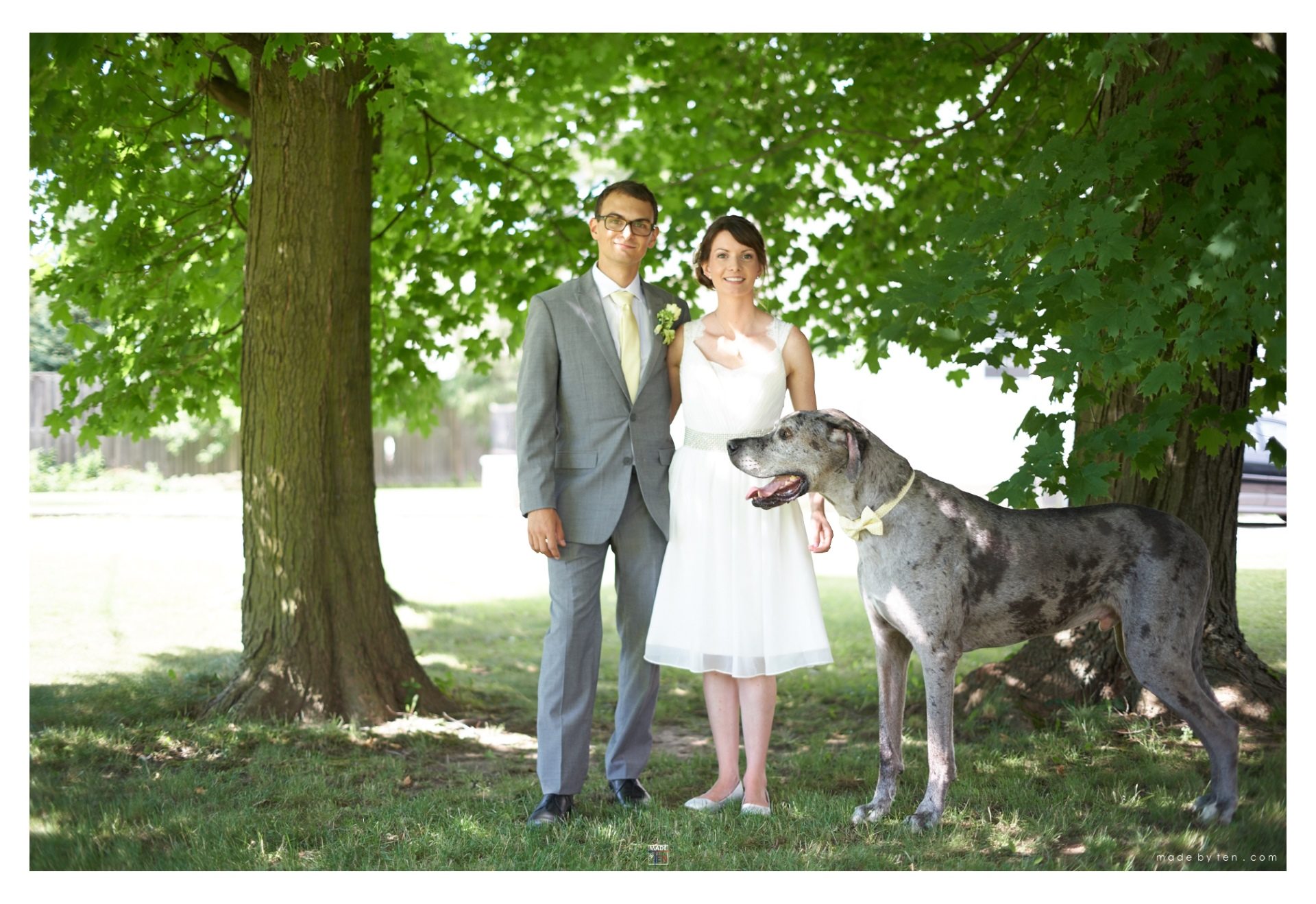 Wedding Photography GTA Portrait with Dog