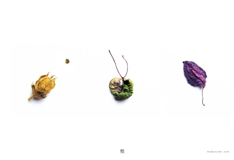 Three Simple Steps Fine Wall Art Decor